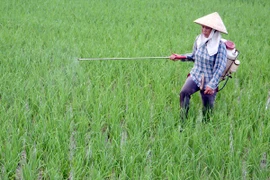 Doanh nghiệp lúng túng trước dự thảo quản lý thuốc bảo vệ thực vật