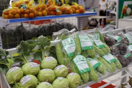 Gian hàng bày bán các sản phẩm an toàn. (Ảnh: Agritrade)