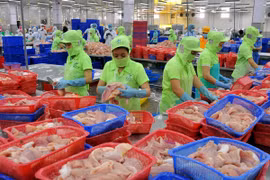 Chế biến cá tra phục vụ xuất khẩu ở Đồng Tháp. (Ảnh: An Hiếu/TTXVN)