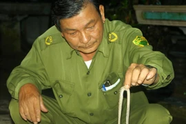 Khẩn trương triển khai biện pháp phòng tránh rắn lục đuôi đỏ 