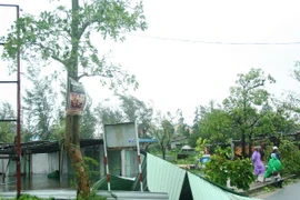 Cảnh báo lũ quét, sạt lở đất ở các tỉnh vùng núi phía Bắc, Tây Bắc