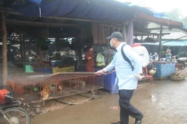 Phun thuốc khử trùng tiêu độc tại điểm bán gia cầm chợ Giếng Vuông (Lạng Sơn). (Ảnh: Thắng Trung/TTXVN)