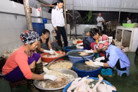 Nhân viên thú y kiểm tra, kiểm soát hoạt động giết mổ gia cầm tại Hải Dương. (Ảnh: Vũ Sinh/TTXVN)