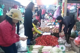 Mưa rét đẩy giá rau củ tăng mạnh. (Ảnh: Vũ Hương/Vietnam+)