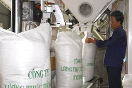 Đóng bao gạo xuất khẩu tại Tổng công ty lương thực miền Nam. (Ảnh: Đình Huệ/TTXVN)
