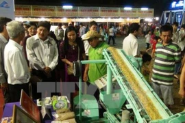 Nhật Bản quan tâm đầu tư vào lĩnh vực nông nghiệp công nghệ cao tại Cần Thơ. (Ảnh: Công Mạo/TTXVN)