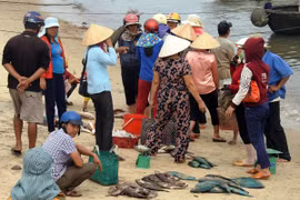 Người dân đang rất lo lắng khi những ngày gần đây cá chết bất thường không rõ nguyên nhân. (Ảnh: Trần Tĩnh/TTXVN)