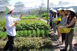 Phát động tháng tuyên truyền cao điểm về vệ sinh an toàn thực phẩm