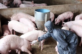 Phê duyệt dự án giám sát virus cúm có nguy cơ gây ra đại dịch toàn cầu