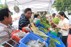 Người tiêu dùng lựa chọn các sản phẩm nông sản an toàn. (Ảnh: Dương Chí Tưởng/TTXVN)
