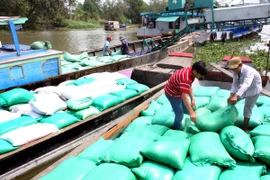 Thành lập đoàn kiểm tra liên ngành việc thu mua tạm trữ lúa, gạo 