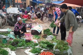 Người mua tranh nhau từng mớ rau vì nguồn cung không đủ cầu. (Ảnh: Thanh Tâm/Vietnam+)
