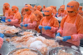 Kim ngạch xuất khẩu ngành thủy sản cả năm giảm hơn 14% 