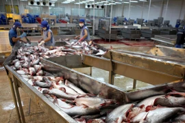 Việt Nam, Nga ký biên bản về ưu tiên phát triển nuôi trồng thủy sản