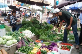 Các mặt hàng rau xanh tăng giá mạnh. (Ảnh: Thanh Tâm/Vietnam+)