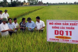 Hợp tác Việt-Nhật: Mang lại giá trị gia tăng cao cho người nông dân