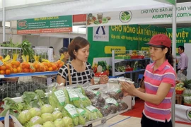 Người tiêu dùng lựa chọn sản phẩm nông sản an toàn tại hội chợ "Tuần lễ nông sản an toàn." (Ảnh: Quang Quyết/TTXVN)
