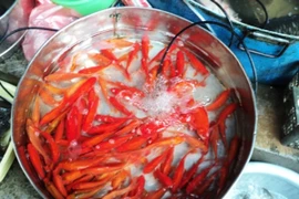 Cá chép vàng “đắt khách” trong dịp Tết ông Công, ông Táo 