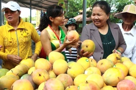 Người dân tham quan và mua sắm tại lễ hội trái cây. (Ảnh: Phương Vi/TTXVN)