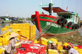 Xuất khẩu cao su và gạo sụt giảm đáng kể trong 6 tháng đầu năm