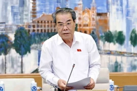 Trưởng ban Dân nguyện của Ủy ban Thường vụ Quốc hội Dương Thanh Bình trình bày tóm tắt các báo cáo. (Ảnh: Doãn Tấn/TTXVN)
