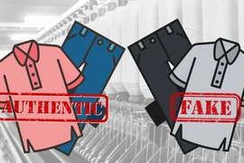 Ảnh minh họa. (Nguồn: Vietnam+)