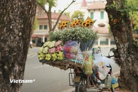 Thu về Hà Nội thay áo mới, sắc lá vàng bay khiến cho ta cảm thấy thật lãng mạn, mơn man khi qua từng con phố. (Ảnh: Vietnam+)