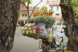 Thu về Hà Nội thay áo mới, sắc lá vàng bay khiến cho ta cảm thấy thật lãng mạn, mơn man khi qua từng con phố. (Ảnh: Vietnam+)
