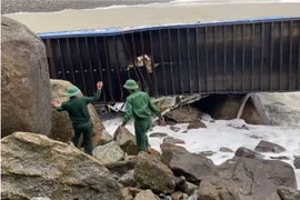 Một trong 3 container bị sóng đánh trôi dạt vào bờ biển khu vực cảng xuất sản phẩm Nhà máy lọc dầu Dung Quất. (Nguồn: Truyền hình Quảng Ngãi)