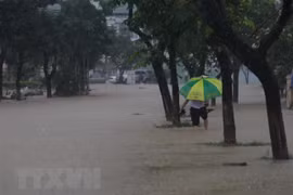 (Ảnh minh họa: Lê Ngọc Phước/TTXVN)