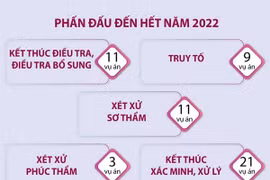 Đẩy mạnh điều tra, truy tố, xét xử các vụ án, xử lý các vụ việc thuộc diện Ban Chỉ đạo theo dõi, chỉ đạo