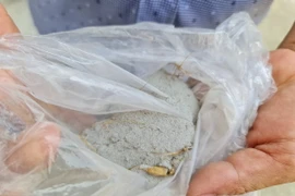 Số bụi mà anh Đinh Tấn Vân, thôn An Lộc Nam, xã Bình Trị thu gom tại nhà mình. (Ảnh: TTXVN phát)