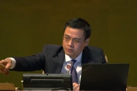 Đại sứ, Trưởng Phái đoàn Việt Nam Đặng Hoàng Giang chủ trì phiên họp. (Ảnh: TTXVN phát)