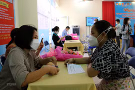 (Ảnh minh họa: Thanh Vũ/TTXVN)
