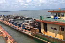 Các phương tiện neo đậu tại khu vực Hải đội Biên phòng 2 thuộc Bộ đội Biên phòng Bà Rịa-Vũng Tàu để điều tra xác minh, xử lý theo quy định của pháp luật. (Nguồn: bienphong.com.vn)