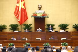 Phó Chủ tịch Quốc hội Nguyễn Khắc Định điều hành phiên họp. (Ảnh: Doãn Tấn/TTXVN)