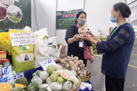 Gian hàng trưng bày đa dạng sản phẩm đặc trưng vùng miền. (Ảnh: Mỹ Phương/TTXVN)