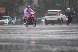 Ảnh minh họa. (Nguồn: TTXVN)