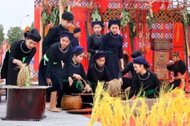 Trích đoạn Lễ hội Then Pang Mẫu của dân tộc Tày, tỉnh Lào Cai. (Ảnh: Trung Kiên/TTXVN)