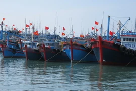 Tàu cá của ngư dân vào nơi neo đậu, tránh trú an toàn. (Ảnh: Nguyễn Thành/TTXVN)