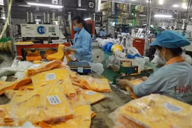 Các sản phẩm của Công ty Cổ phần HAPLAST được xuất khẩu sang thị trường châu Âu, Mỹ, Canada... (Ảnh: Vũ Sinh/TTXVN)
