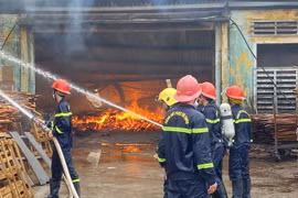 Cán bộ chiến sỹ tham gia dập lửa. (Ảnh minh họa: Tường Quân/TTXVN)