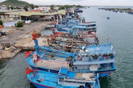 Tàu thuyền đánh bắt xa bờ của ngư dân neo đậu. (Ảnh: Nguyễn Thành/TTXVN)
