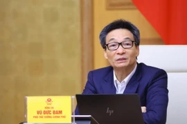 Phó Thủ tướng Vũ Đức Đam. (Ảnh: Văn Điệp/TTXVN)
