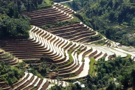 [Photo] Vẻ đẹp của ruộng bậc thang Hoàng Su Phì mùa đổ nước