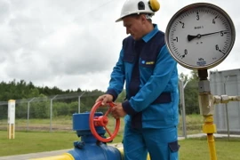 Ảnh minh họa, (Nguồn: AFP/TTXVN)