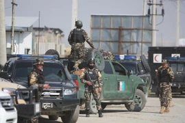 Afghanistan: Một ứng cử viên Hội đồng tỉnh bị sát hại