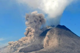 Italy: Thiết lập bản đồ nguy cơ cho núi lửa Vesuvius