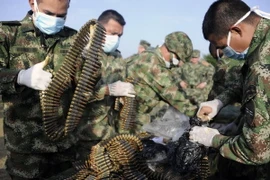 Colombia khởi động các cuộc tiếp xúc thăm dò với ELN