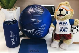 Ảnh chỉ có tính minh họa. (Nguồn: Q.T/Vietnam+)